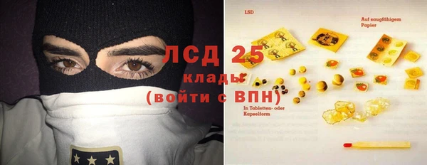 гашиш Богданович