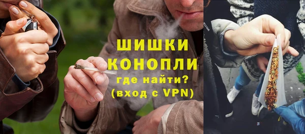 гашиш Богданович