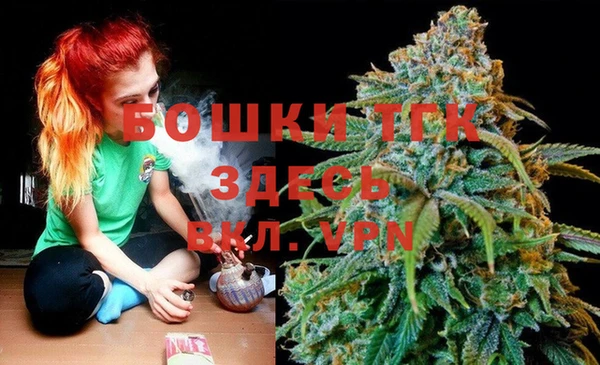 гашиш Богданович