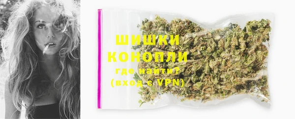 гашиш Богданович