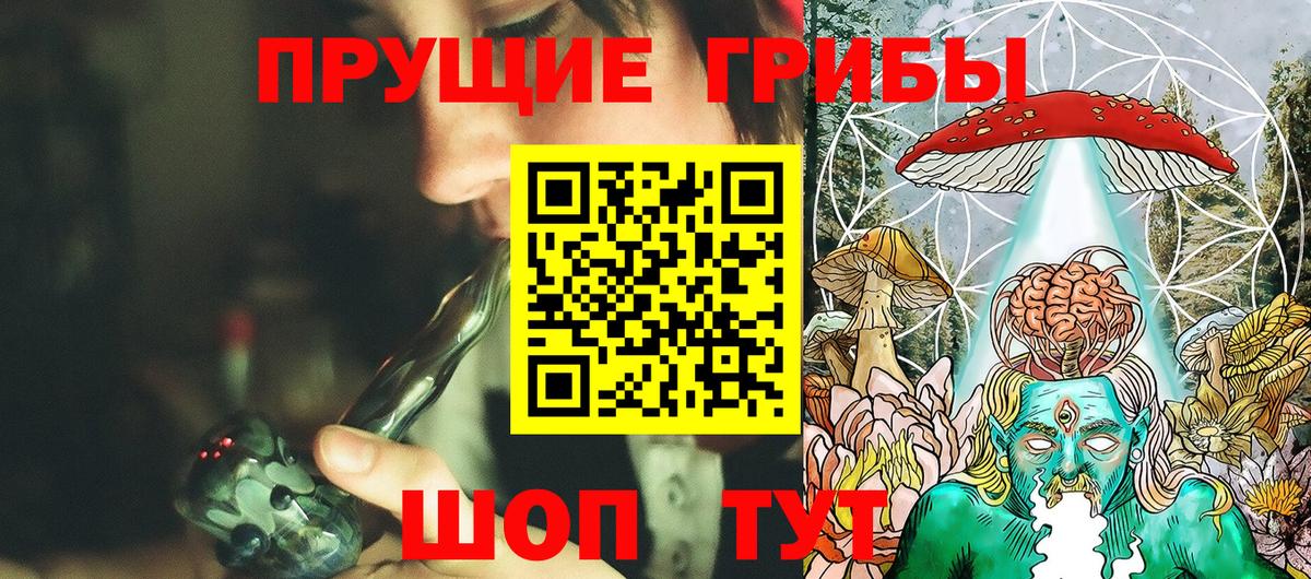Псилоцибиновые грибы Psilocybine cubensis  Вход с VPN  закладки  Ачинск  Галлюциногенные грибы Magic Shrooms 
